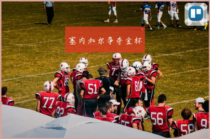 塞内加尔争夺金杯