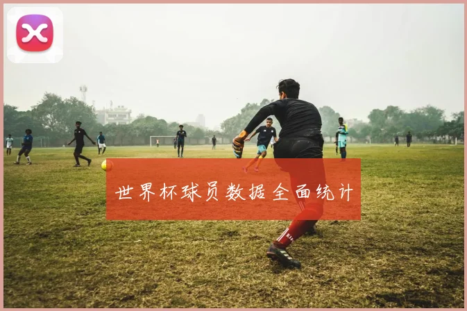 世界杯球员数据全面统计