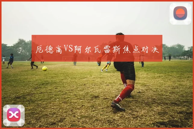 厄德高VS阿尔瓦雷斯焦点对决